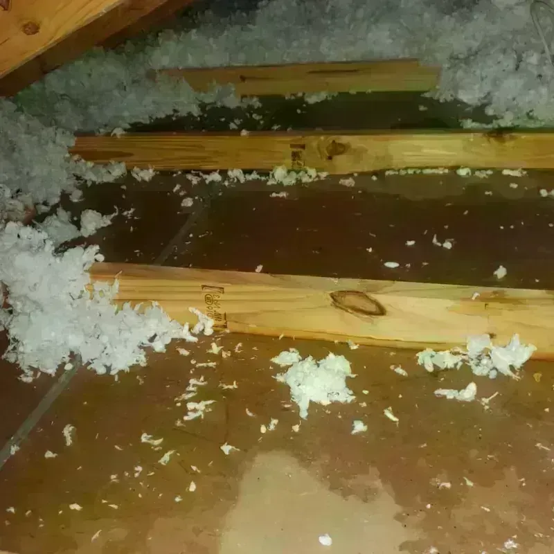 Attic Water Damage in Craig, CO