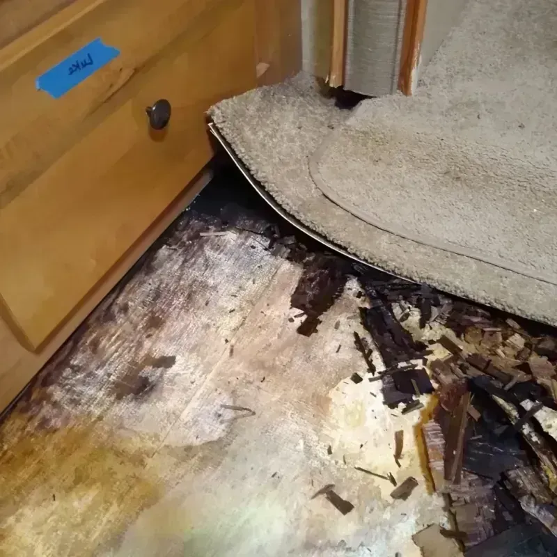 Wood Floor Water Damage in Craig, CO